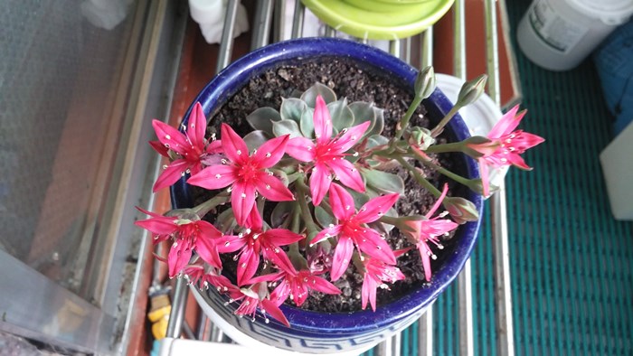 20180702_142754.jpg