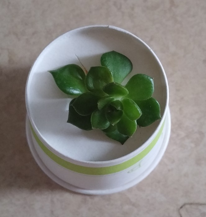 20180802_140404.jpg