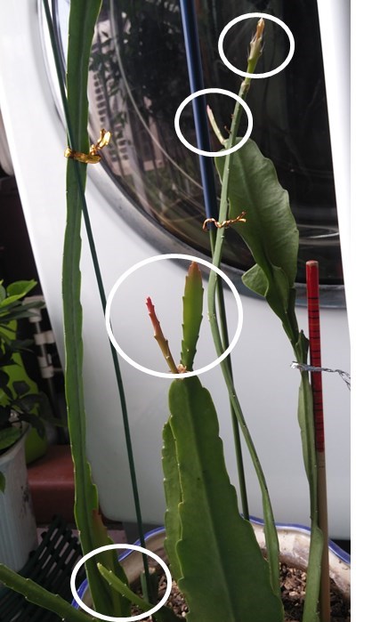 20180802_141434.jpg