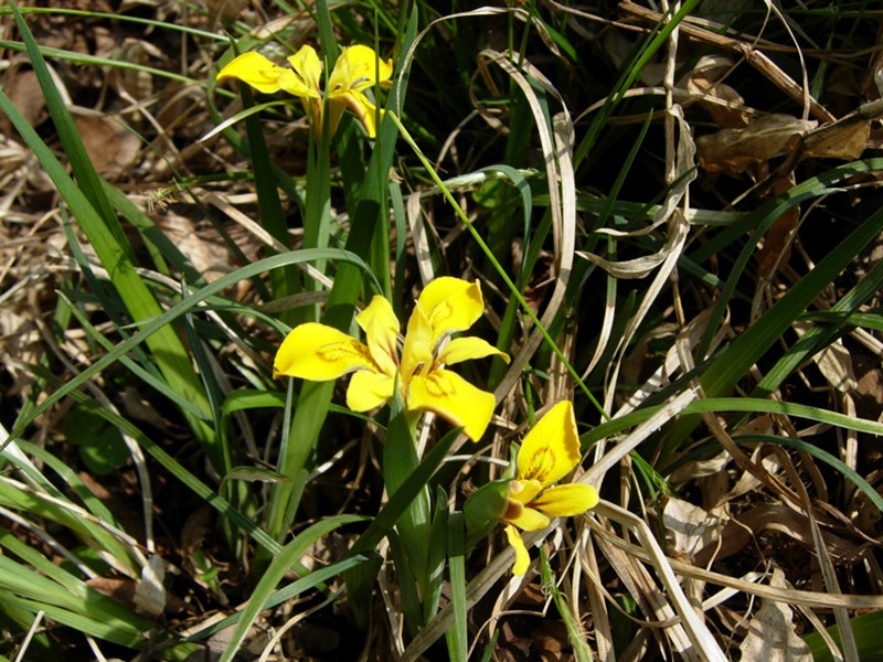 DSCN0004.JPG