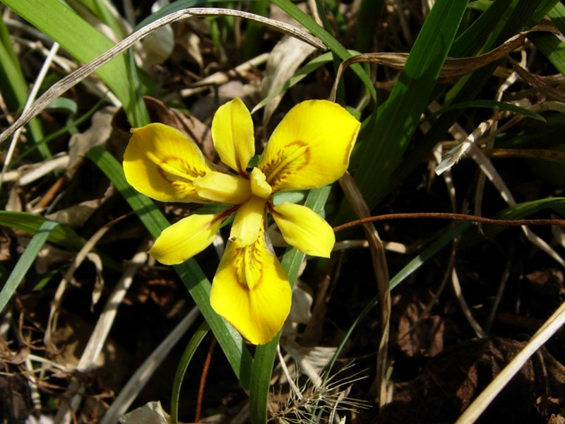 DSCN0005.JPG