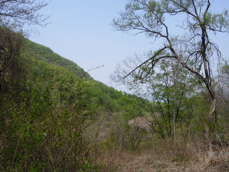 DSCN0009.JPG