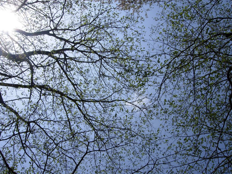 DSCN0016.JPG