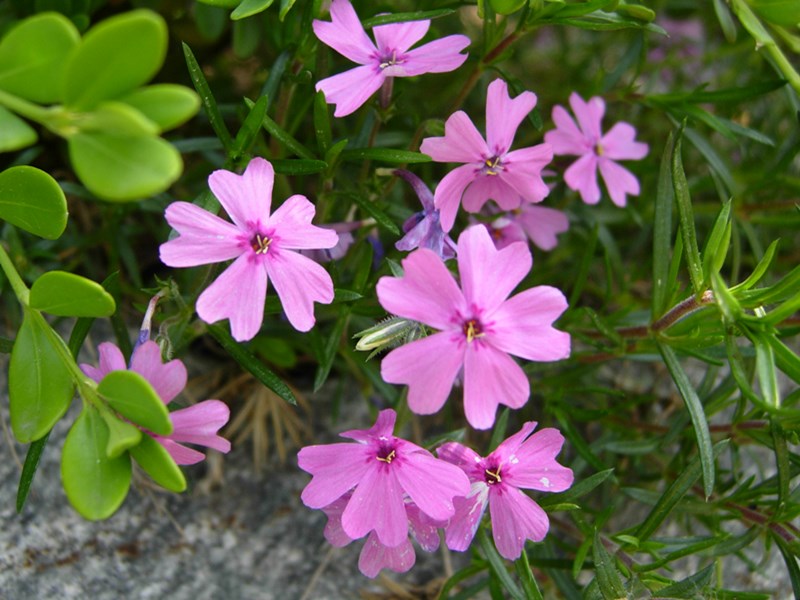 DSCN0035.JPG