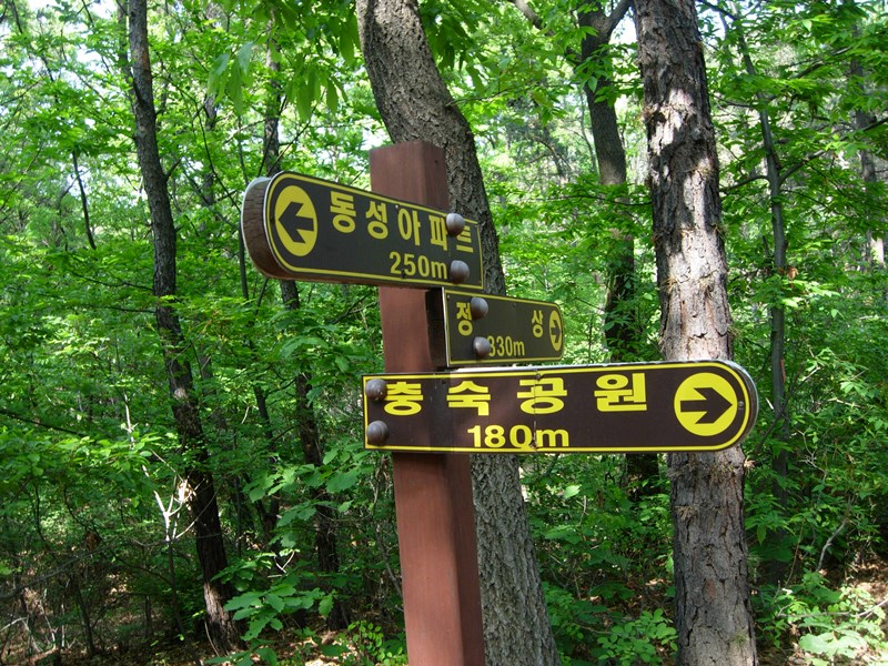 DSCN0045.JPG
