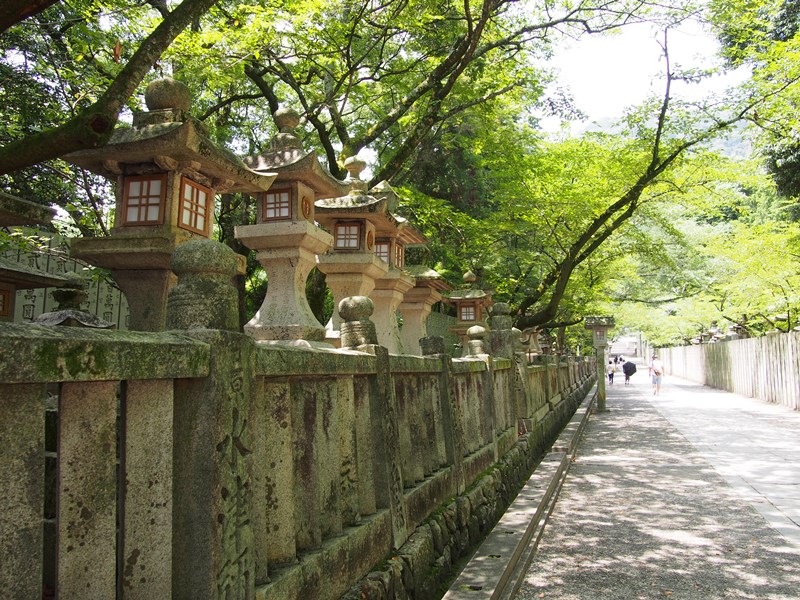 P1010121.JPG