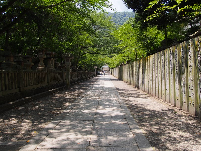 P1010123.JPG