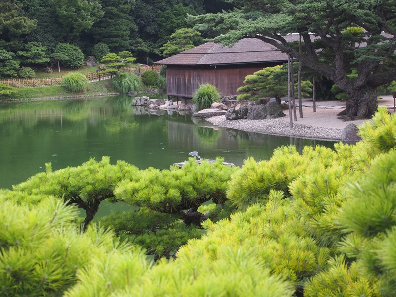P1010347.JPG