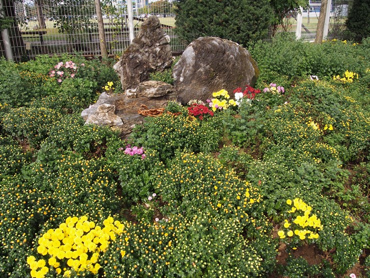 P1010073.JPG