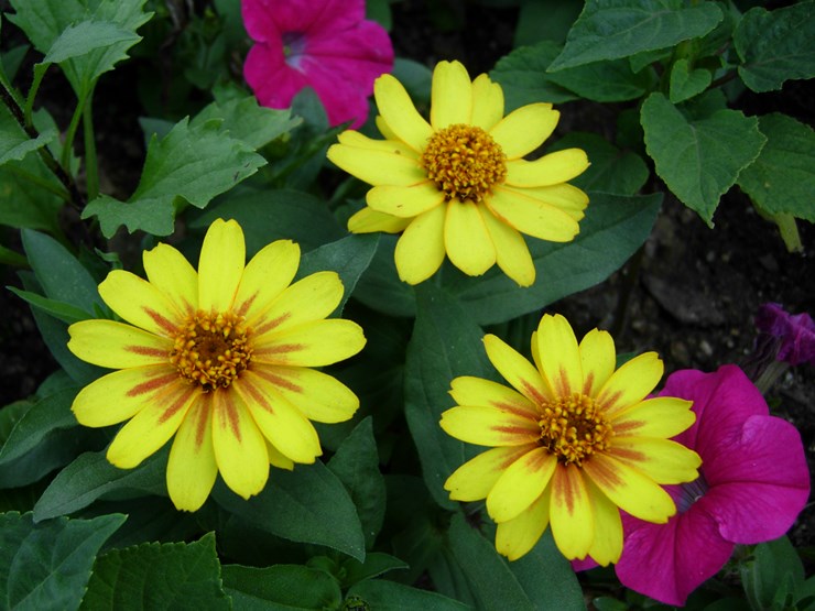 DSCN0127.JPG