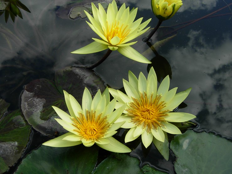 DSCN0173.JPG