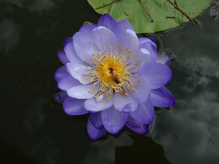DSCN0177.JPG