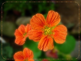 DSCN6884.JPG