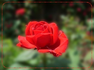 DSCN6940.JPG